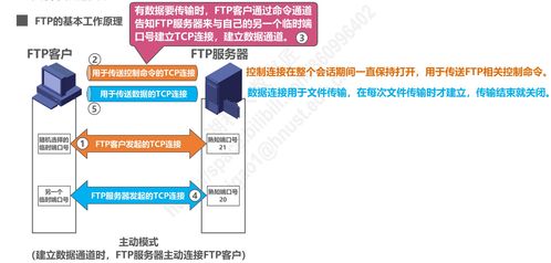 計算機網絡技術開發(fā)中的P6應用層 驅動未來互聯的核心引擎